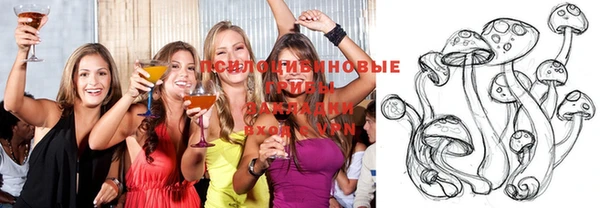 прущие грибы Богородск
