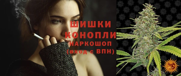 прущие грибы Богородск