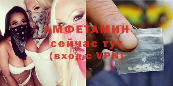 шишки Баксан