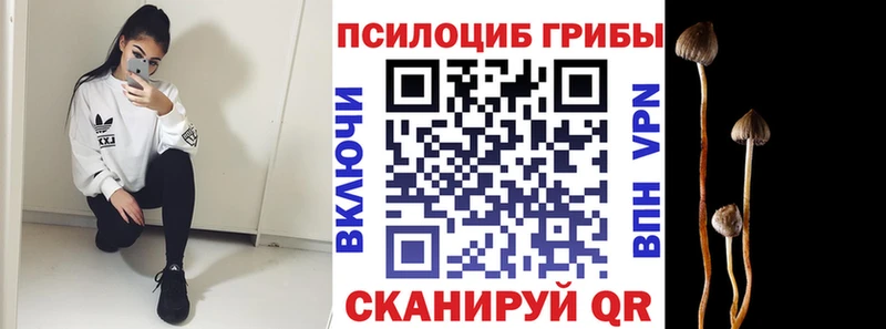 ОМГ ОМГ сайт  Буйнакск  Галлюциногенные грибы ЛСД 